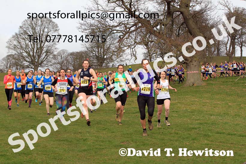 Senior Womens 2023 NEHL, Alnwick, Northumberland. Photo: David T. Hewitson/Sports for All Pics